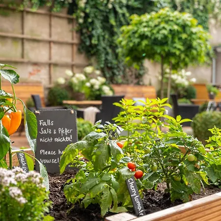 An Sankt Marien Stralsund